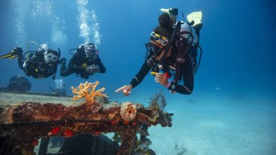 PADI Save the Ocean