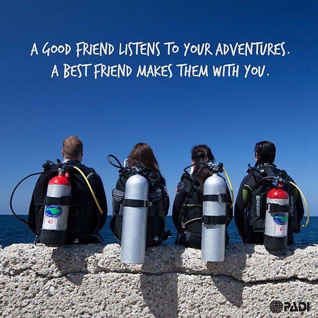 four diver sit on a wall. Above them, the photo has text on it that reads, "A good friend listens to your adventures. a best friend makes them with you."