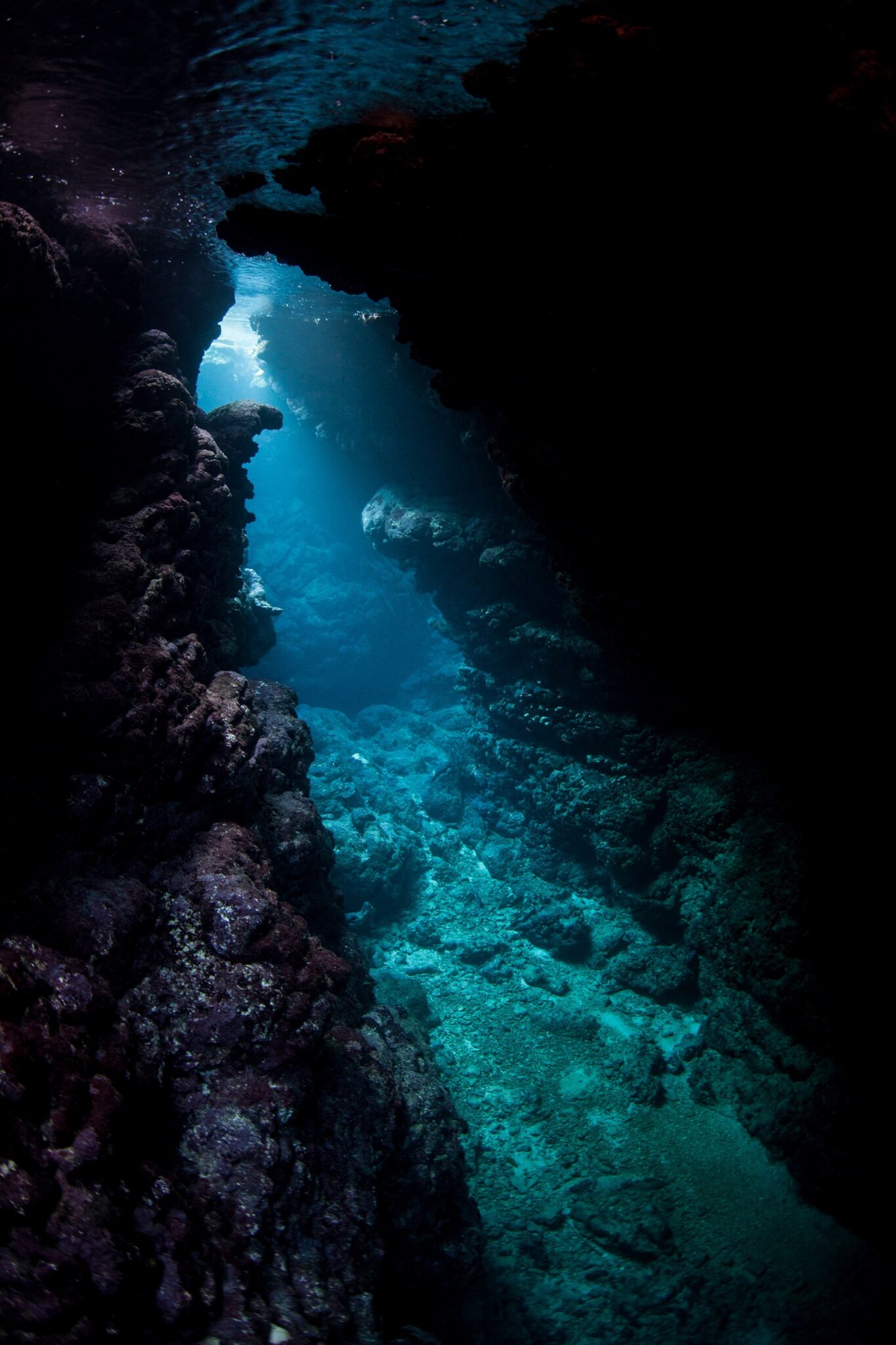 a beam of light shines into an underwater cavern