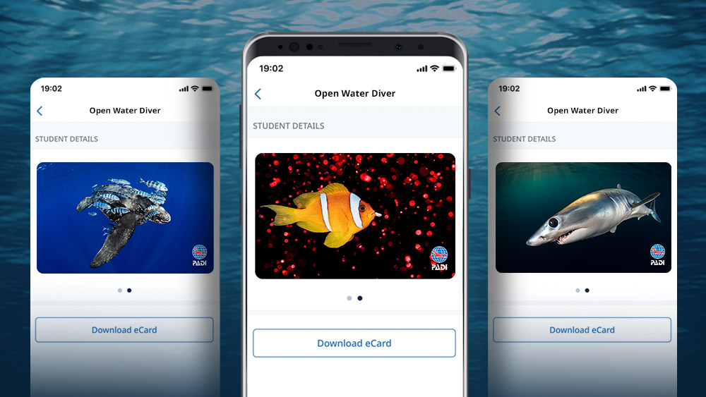 padi club exclusive ecards 2025