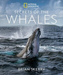 secrets of the whales book save the whales padi gear