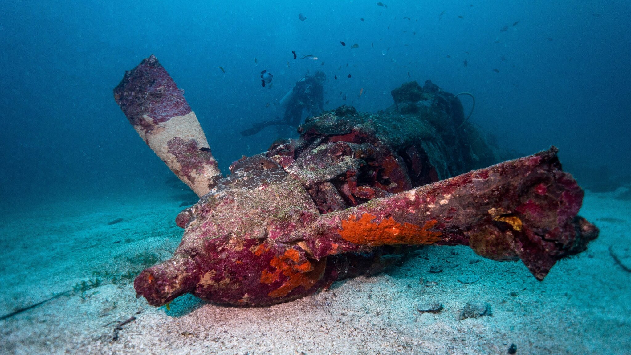 a scuba diver hovers near a plane wreck in the solomon islands