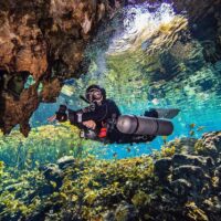 A diver in red and black with sidemounted tanks floats in a cave, with green plants and algae in the background.