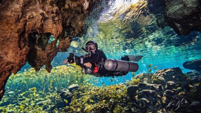 A diver in red and black with sidemounted tanks floats in a cave, with green plants and algae in the background.