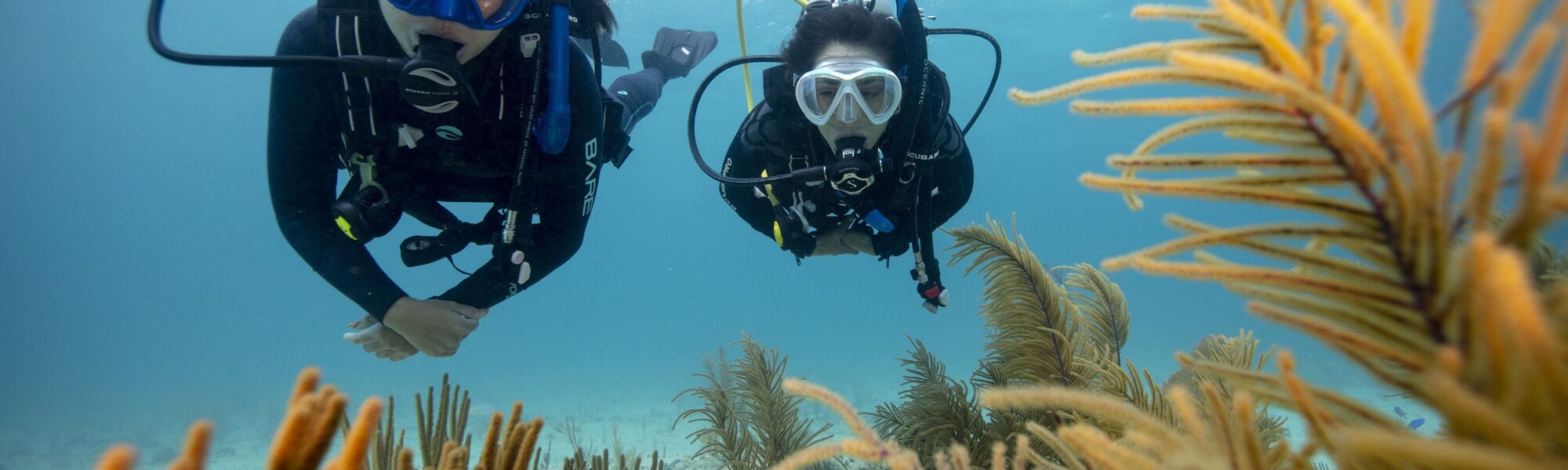 Diving vs Snorkelling