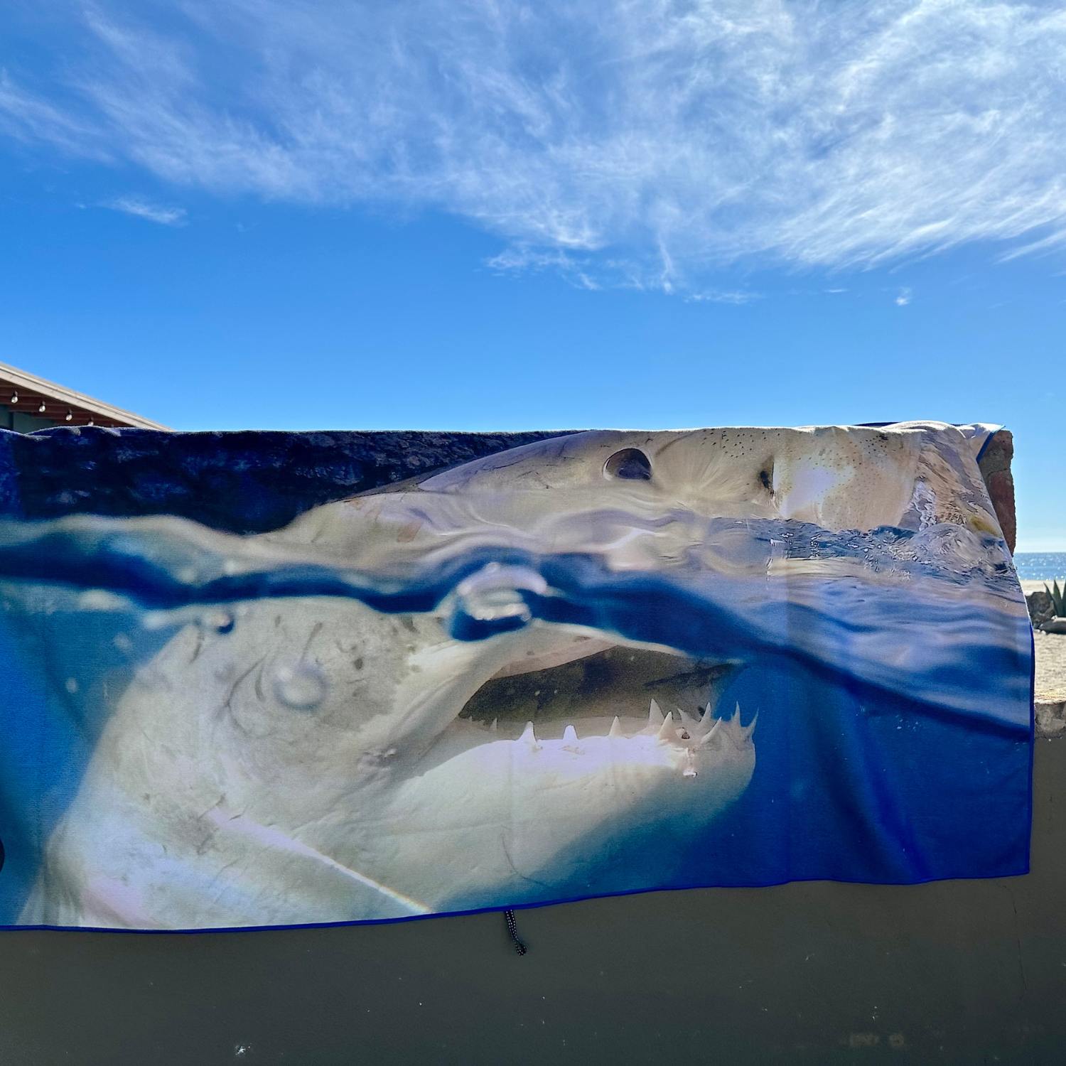 Shark towel padi gear