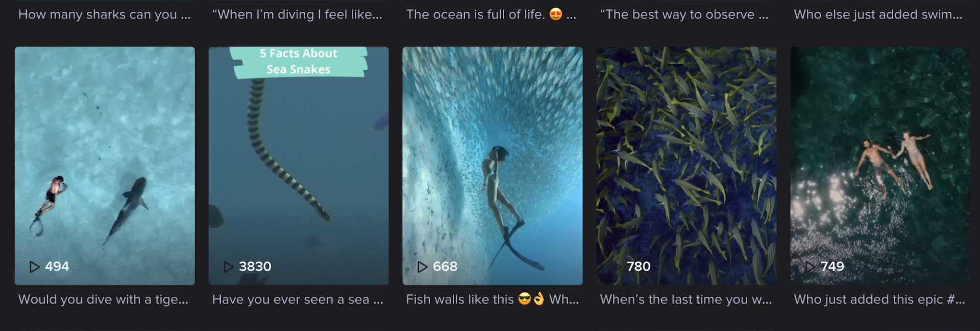 10 TikTok Accounts to Follow for Divers