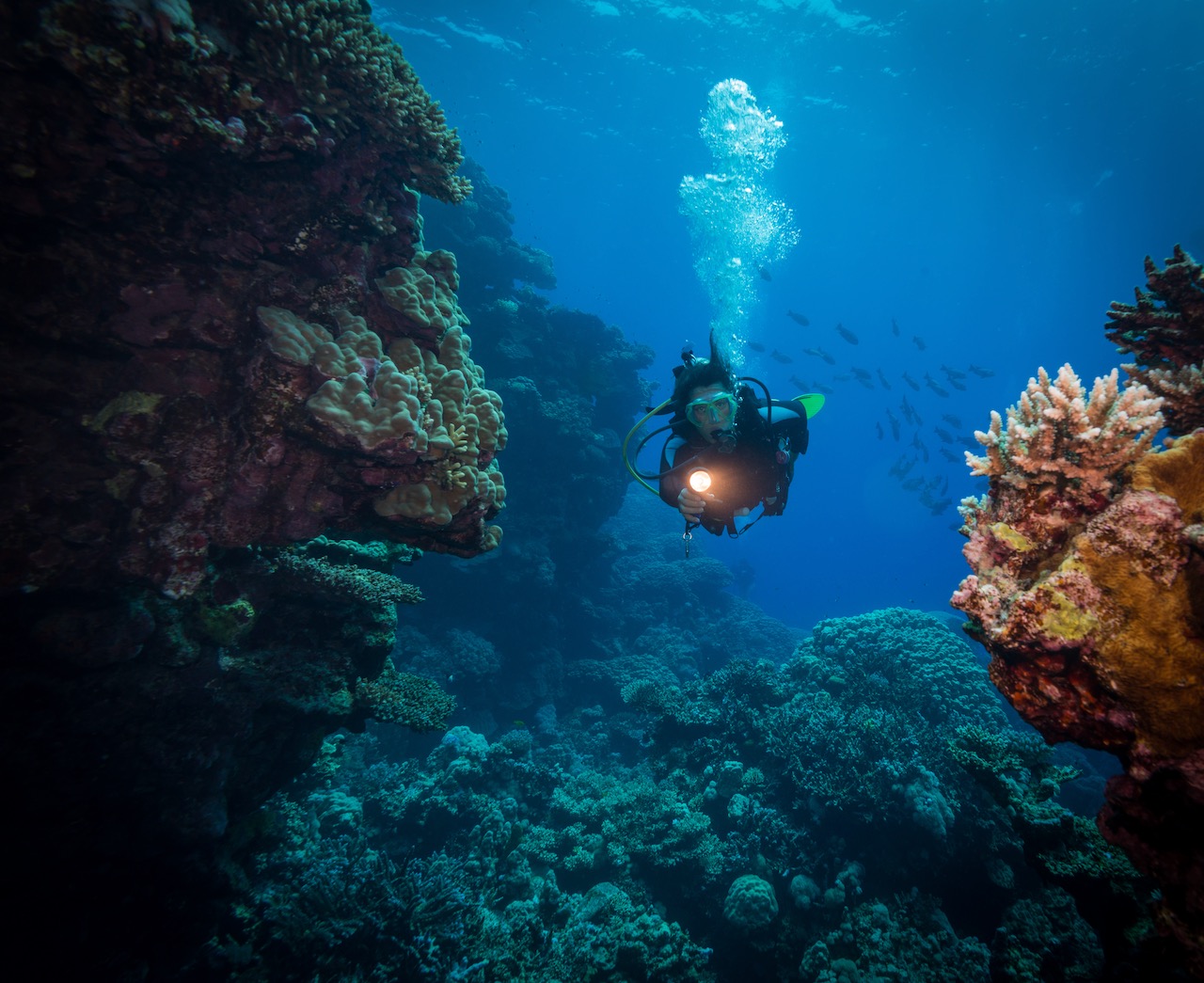 a female diver swims through a coral reef in Egypt