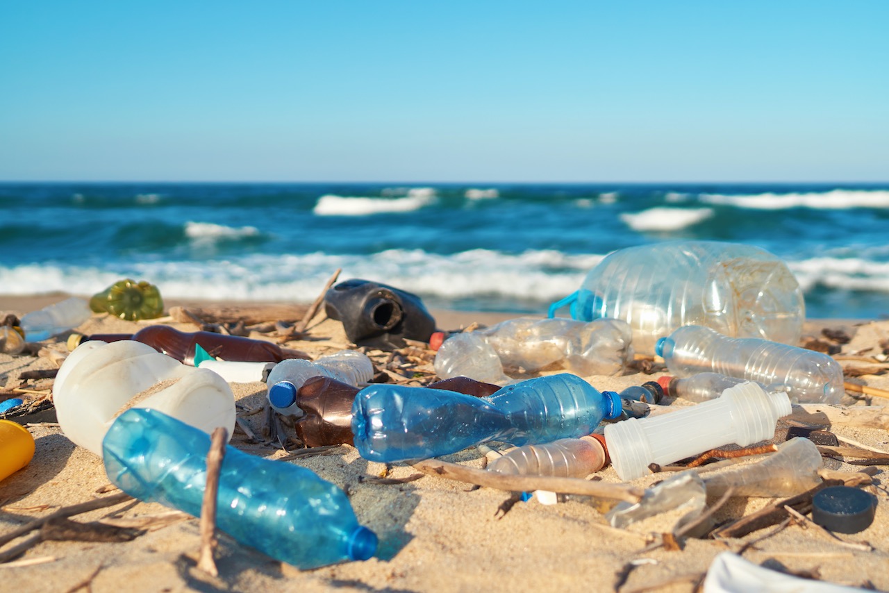 plastic on the beach impacts water quality