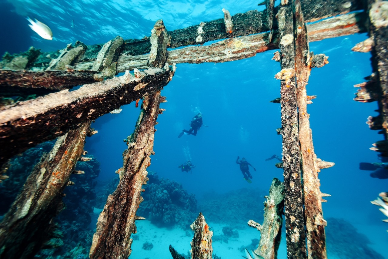 Divers explore the eerie beauty of a sunken wreck in the Red Sea. Sunlight filters through the skeletal frame, illuminating the underwater landscape. A mesmerizing glimpse beneath the waves.