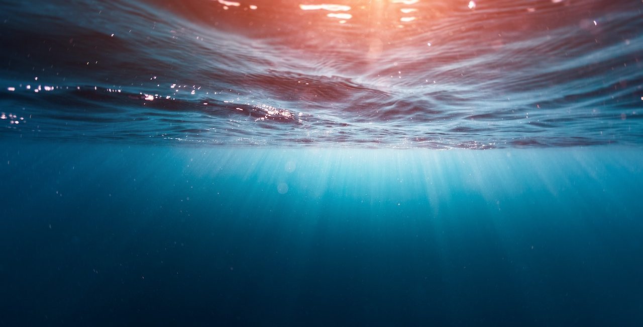 Otto modi per contribuire a salvare l’oceano