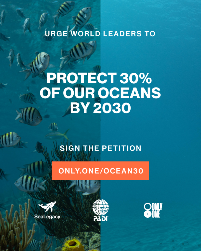 Half the image shows a vibrant reef, and the other half an empty ocean. Text superimposed calls for signing a petition.