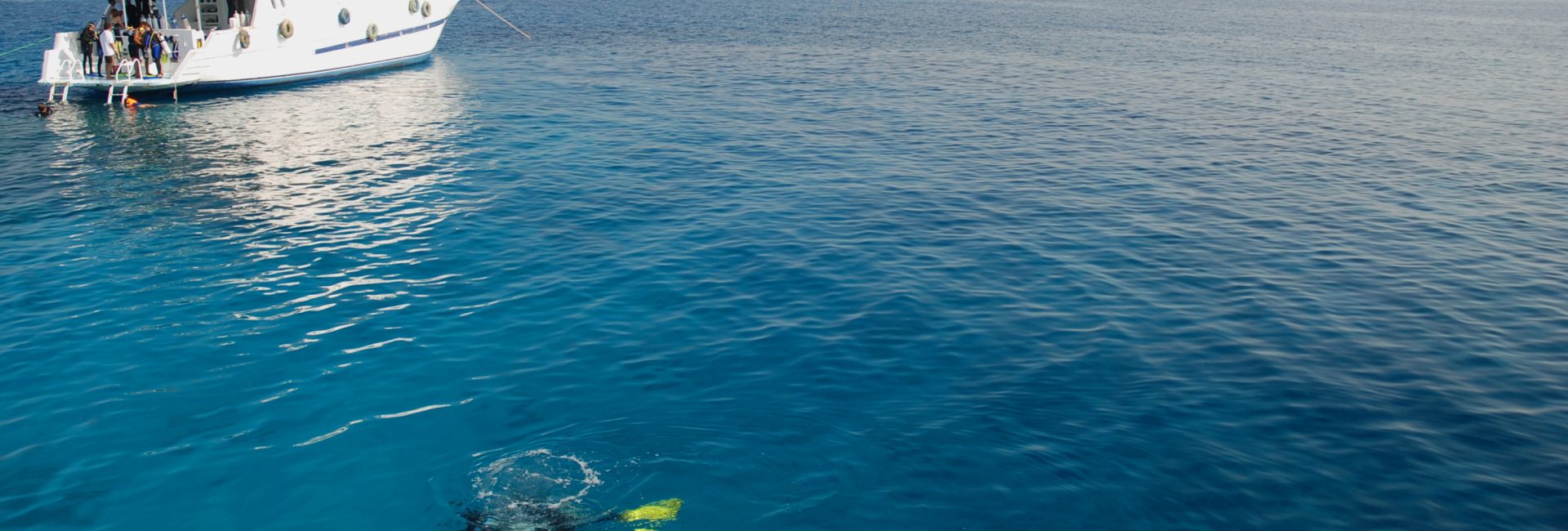 Innovative Ways PADI Dive Shops Are Making Scuba Diving More Sustainable