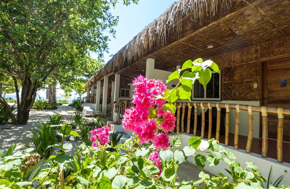 Green Fins Spotlight: Evolution Beach & Dive Resort