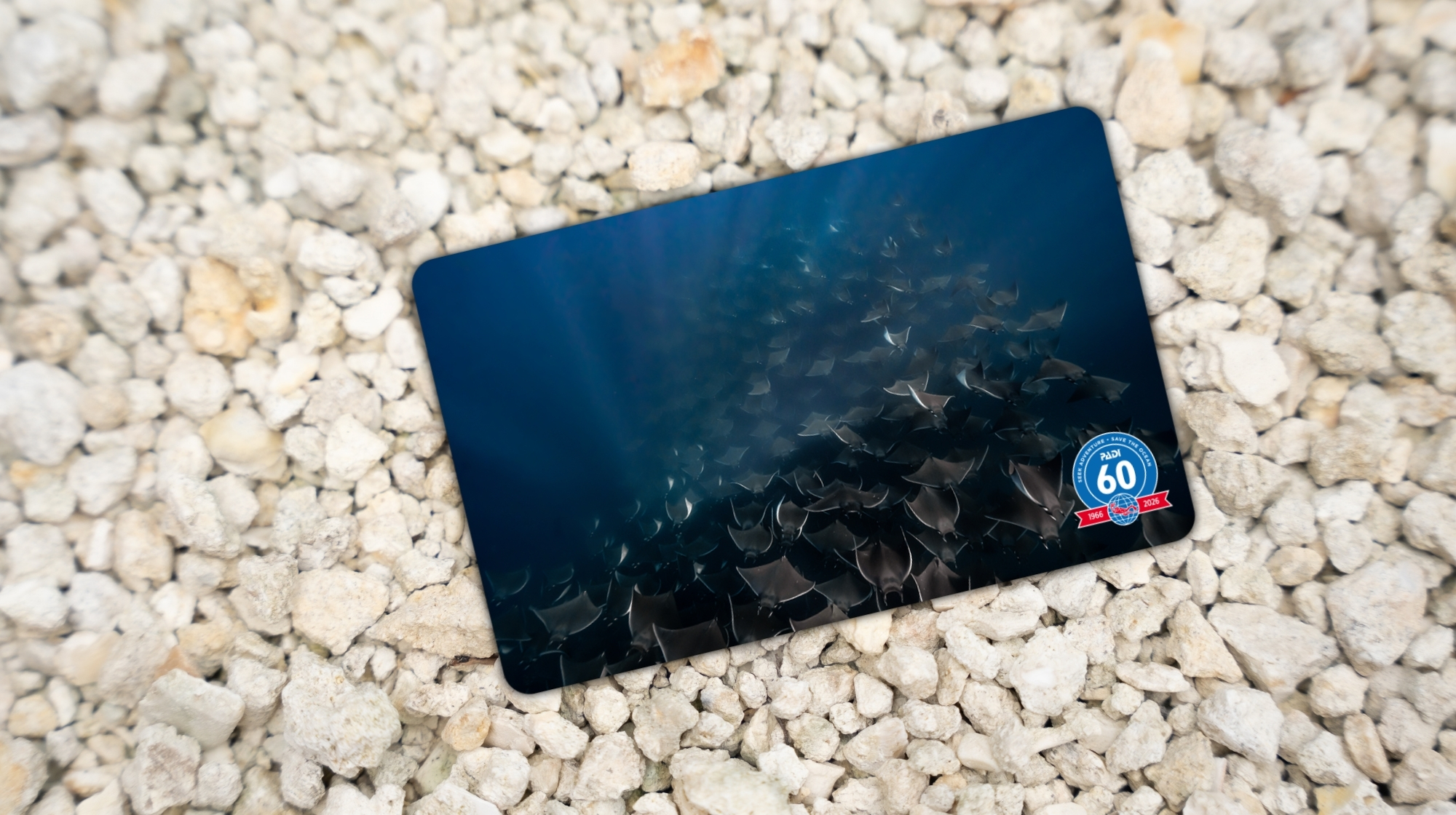 Image of limited edition certification card laying on rocks.