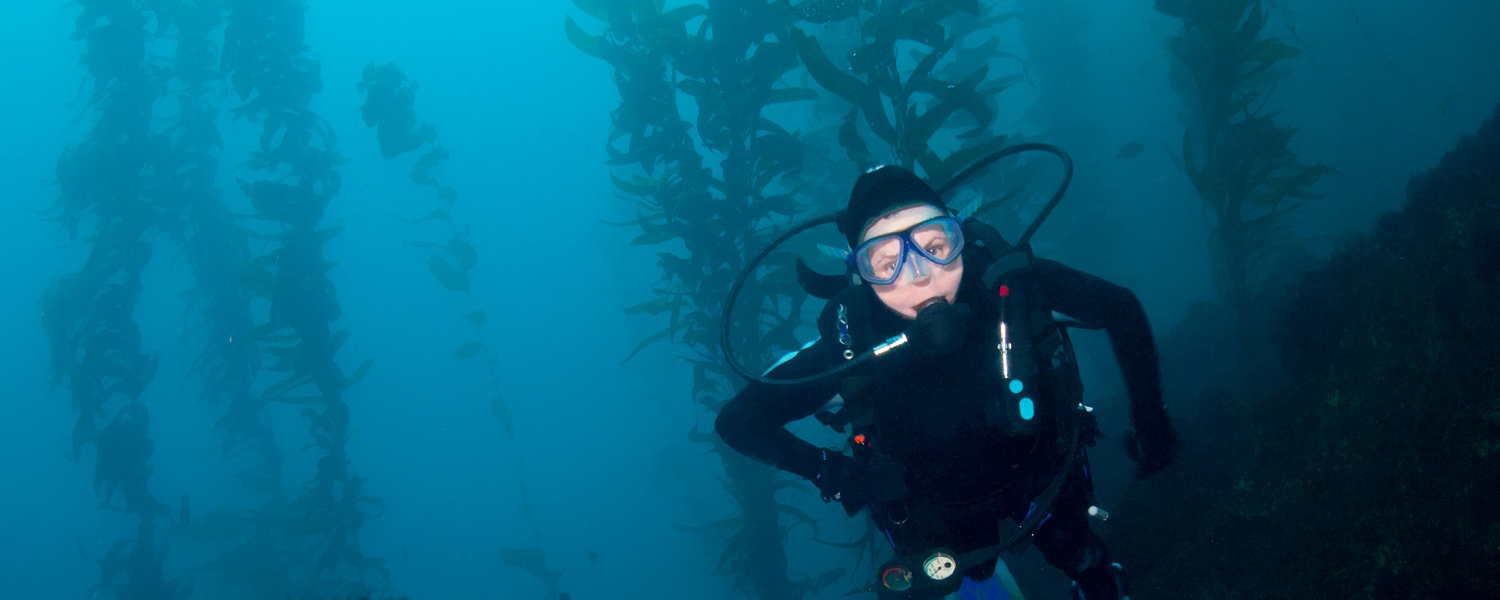 The Best Places to Dive in California