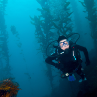 Scuba diver exploring the kelp forests of California.