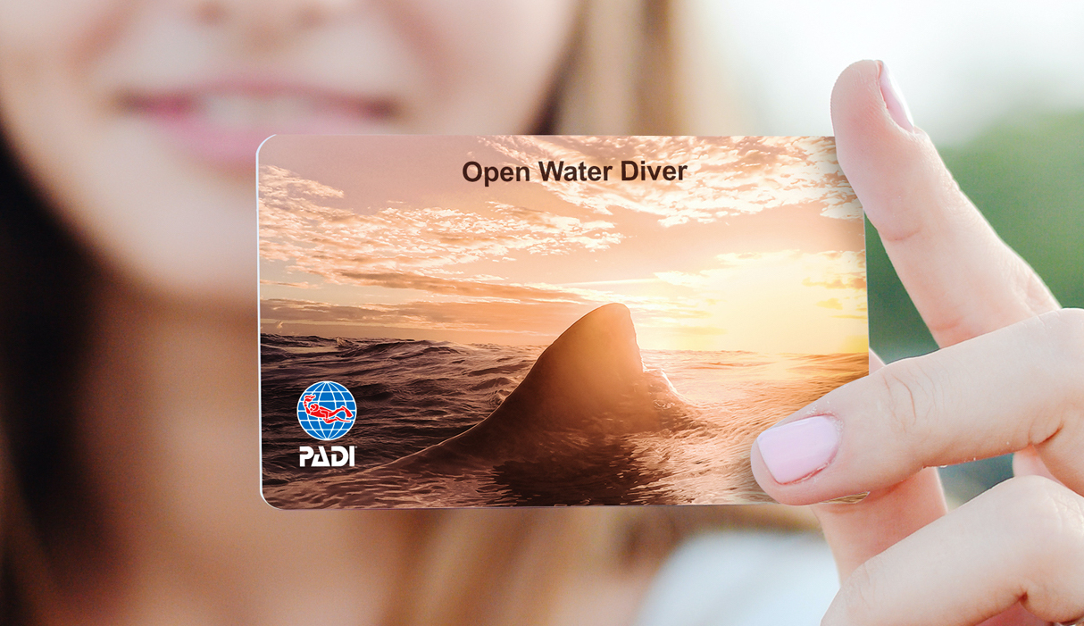 A diver holds up their replacement PADI Open Water Diver card after finding out "How long do scuba certifications last?"