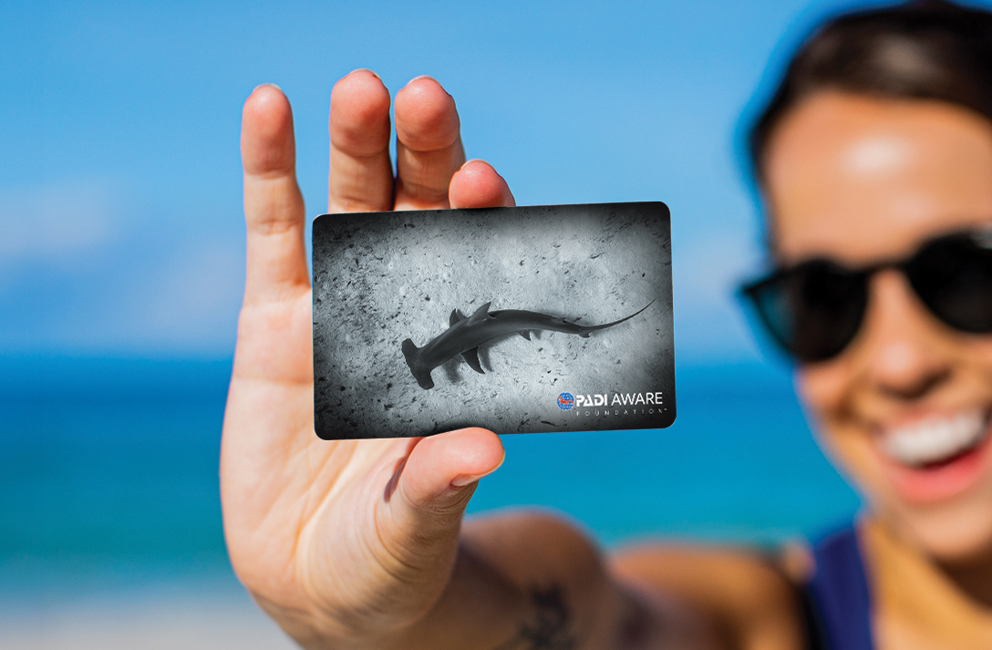a woman holding a padi certification card with a hammerhead shark on the front