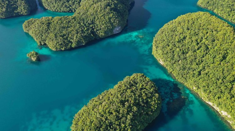 palau from above