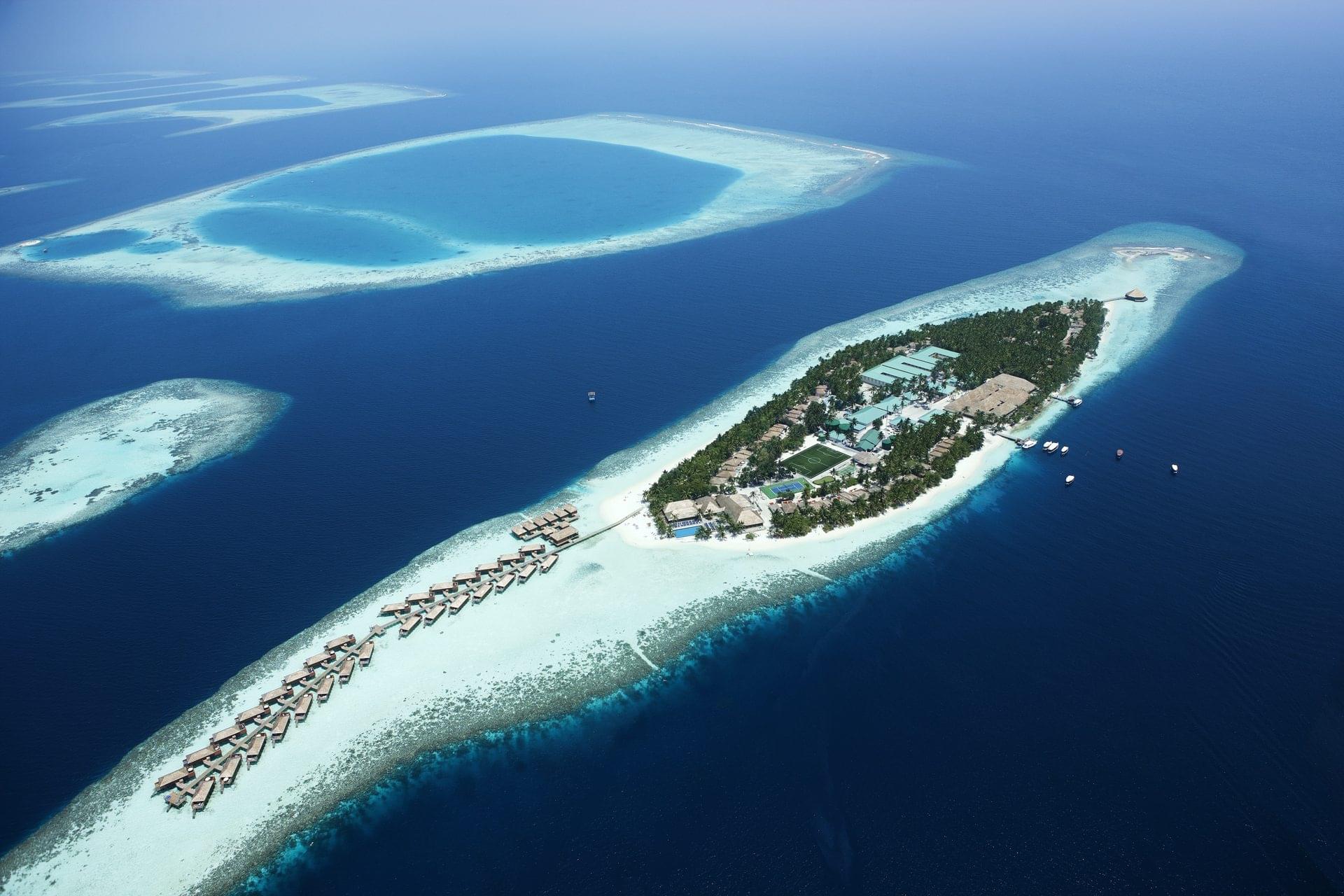 best dive resorts in the maldives vilamendhoo