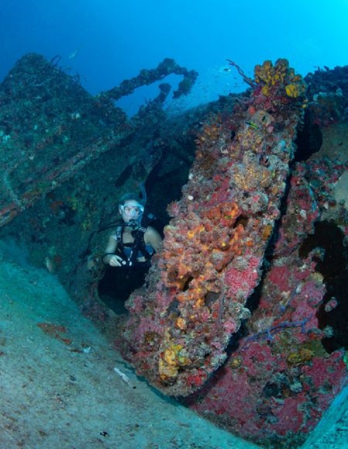 A diver emerges from within a shipwreck that is covered in soft corals.