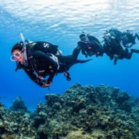 padi divemaster