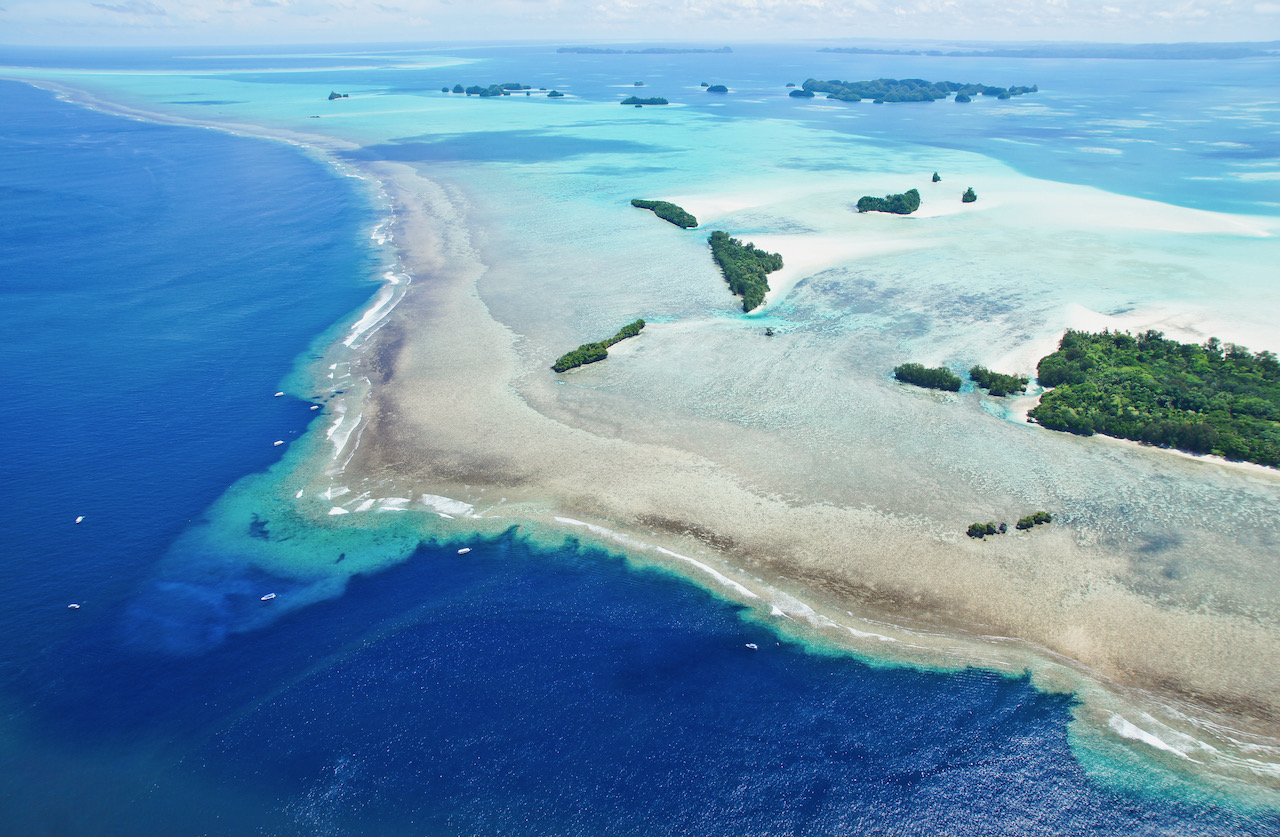 best dive sites in palau blue corner