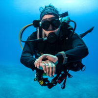 A scuba diver checking a dive computer