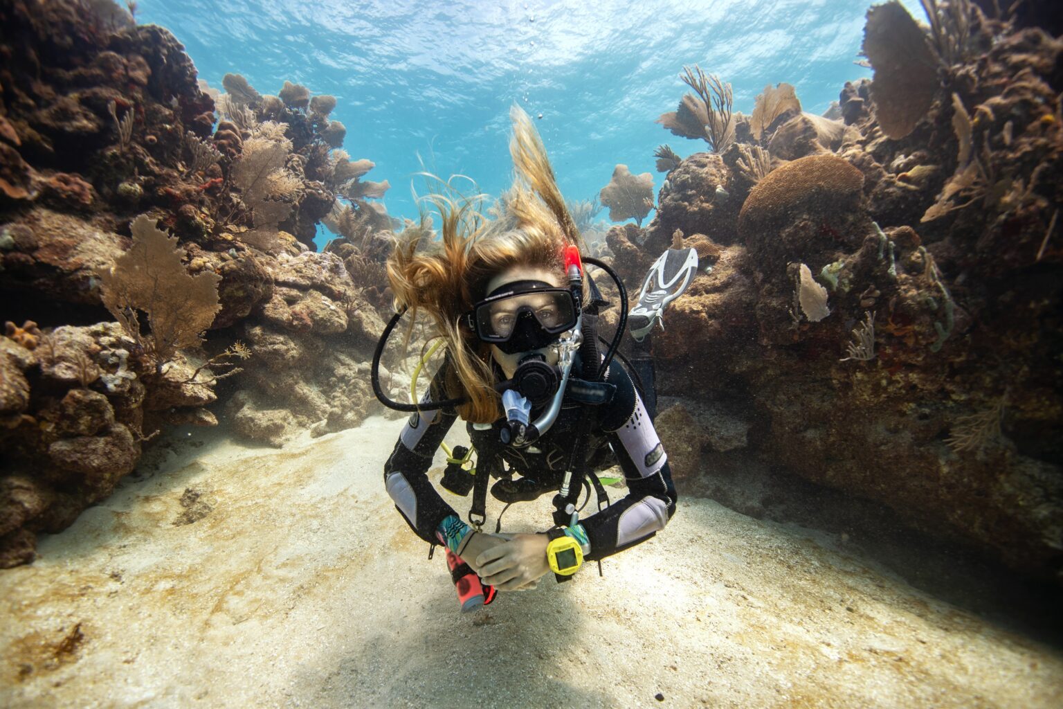 Breathtaking Experiences You Have When Learning To Dive