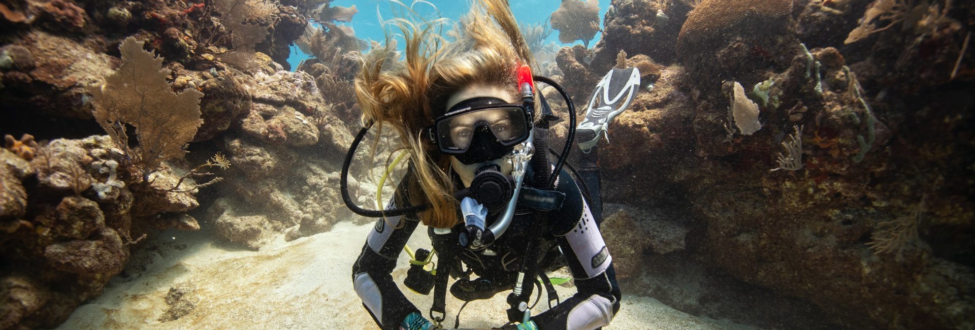 How To Find the Best PADI Instructor Development Course for You