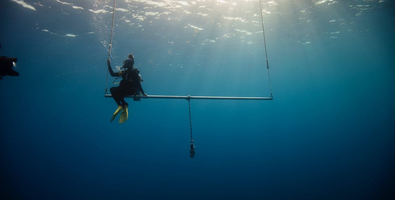El buceo como terapia￼