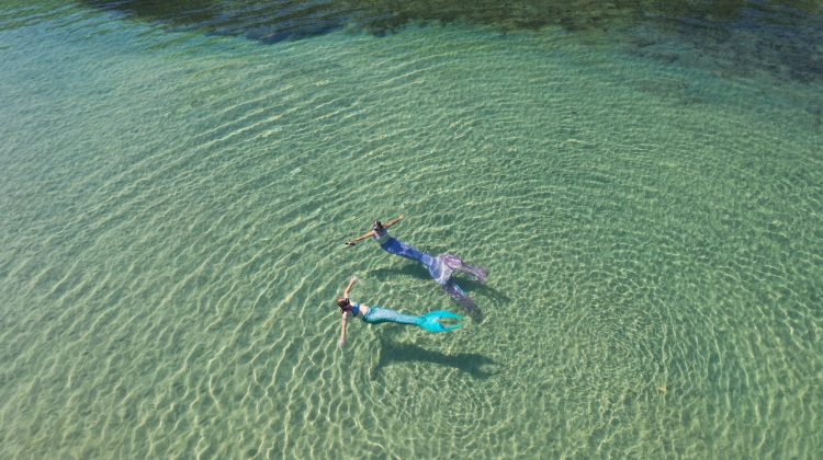 growing rise in mermaiding