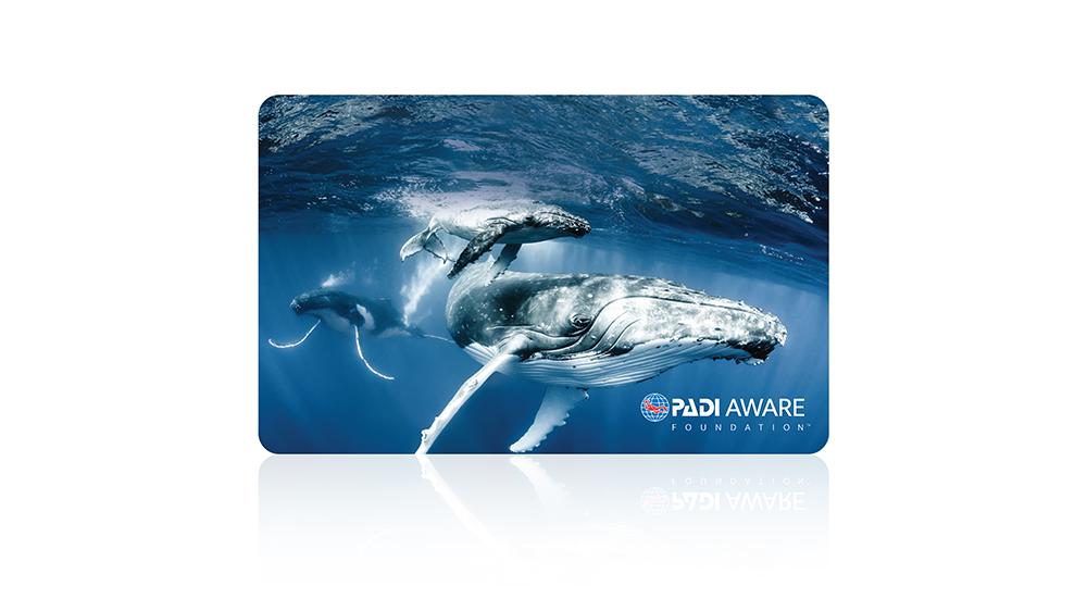 an image showing the PADI AWARE Flight of the Whales eCard