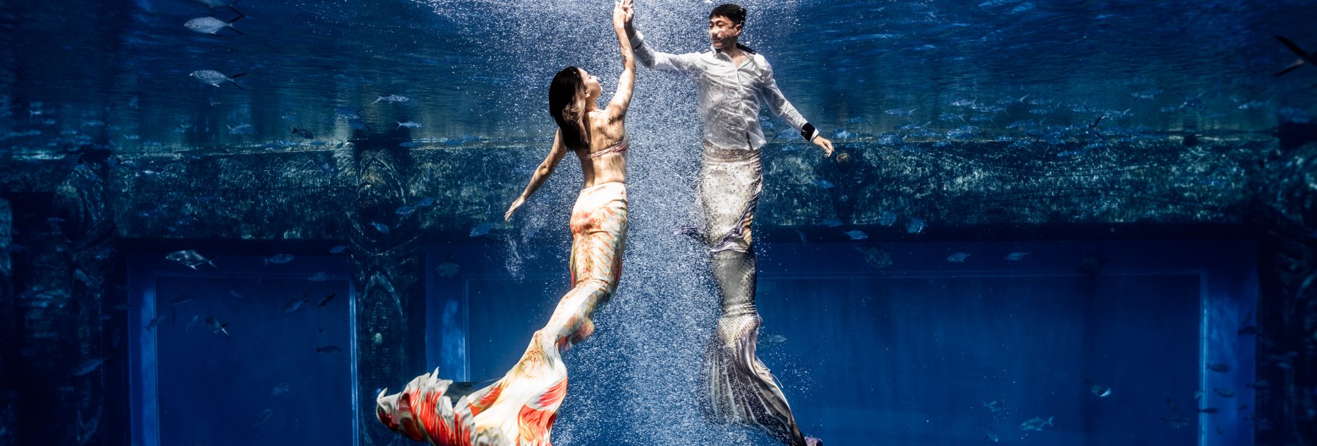 6 Images that will Inspire You to Become a Mermaid