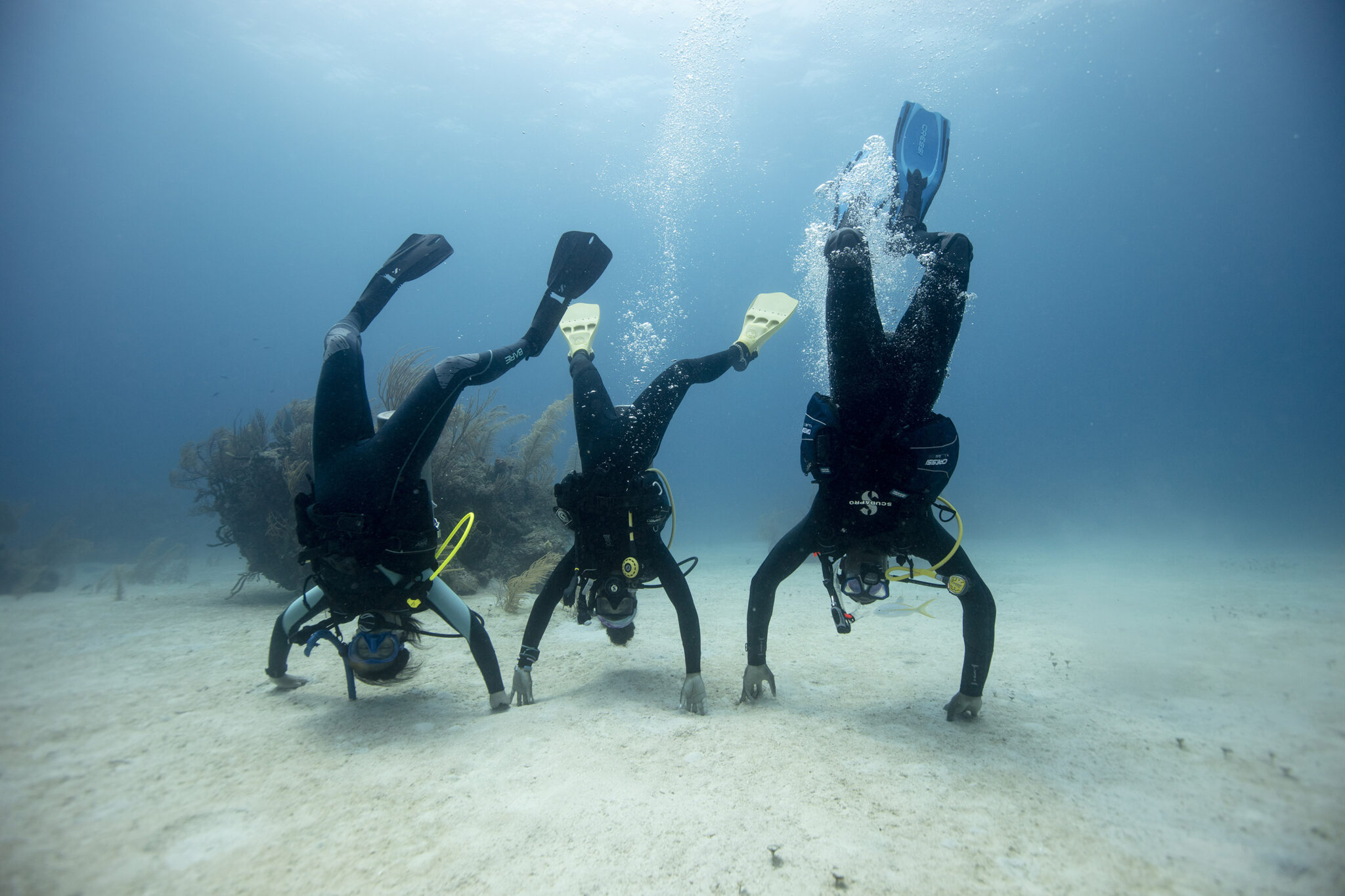 Three divers wearing wetsuits and standing upside down underwater, a position which is not possible if you are drysuit diving