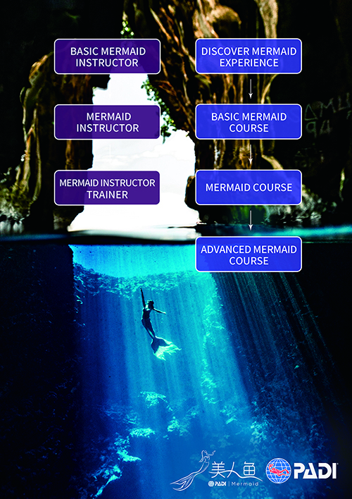 padi mermaid courses