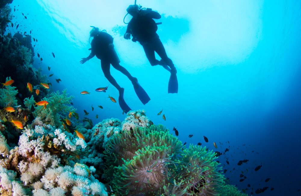 Can Deaf People Scuba Dive?