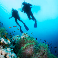 CAN DEAF PEOPLE SCUBA DIVE