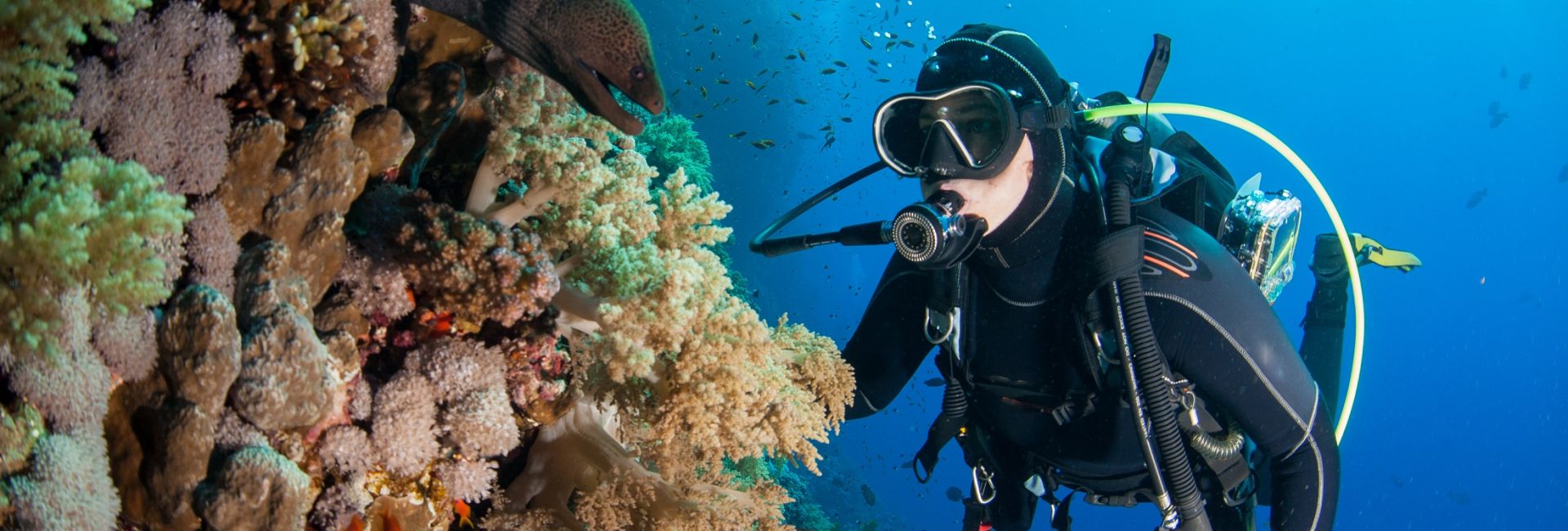 3 Reasons to Add Wall Diving to Your Bucket List