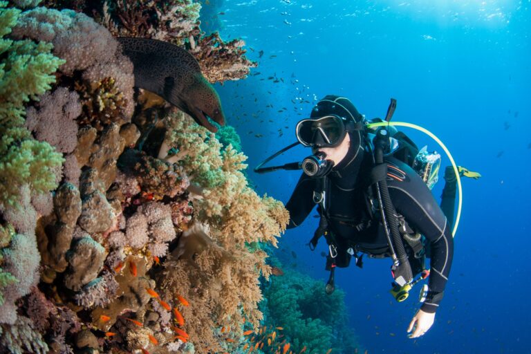 Cruise Ship Diving - The Ultimate Liveaboard?