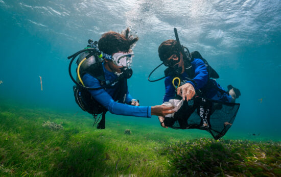 two divers clean marine debris from the seafloor