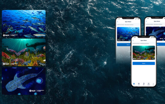 padi limited edition certification cards q4 2025