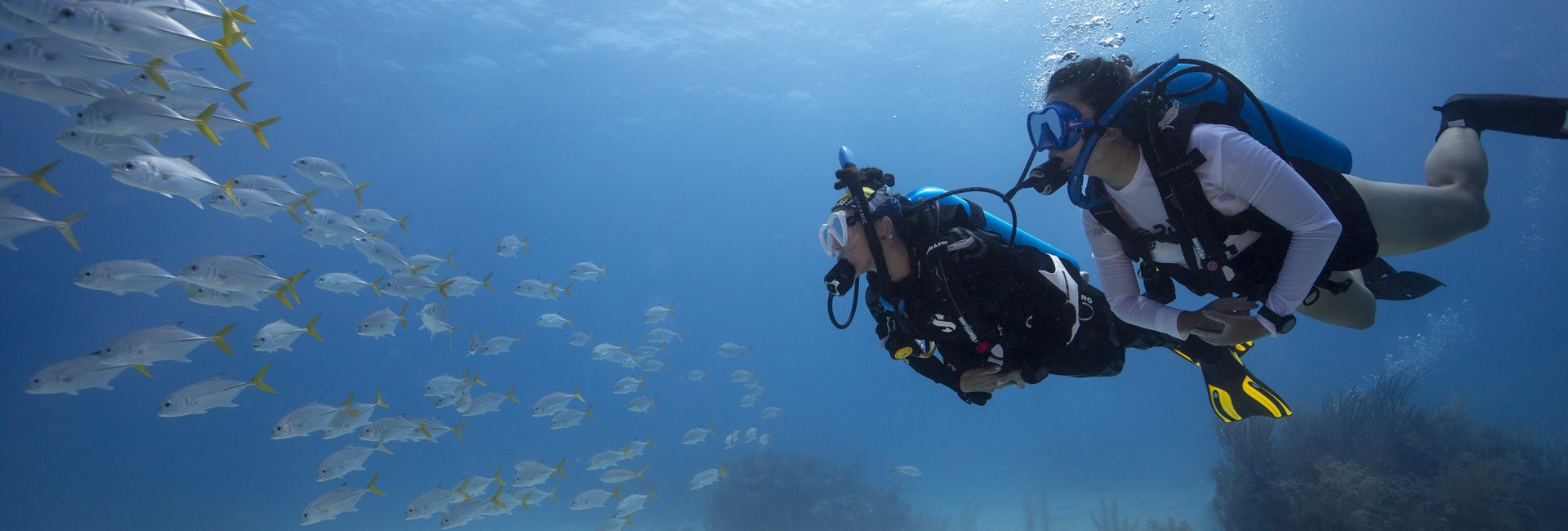 Drift Diving Tips: Why You Should Try It & How To Stay Safe