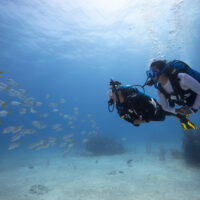 PADI Scuba Diving