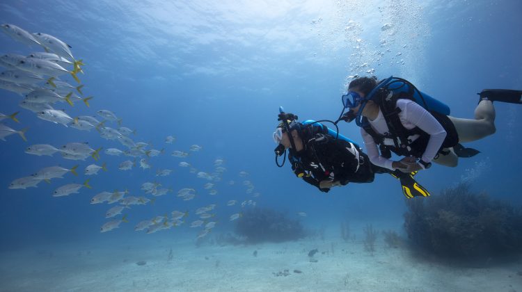 PADI Scuba Diving