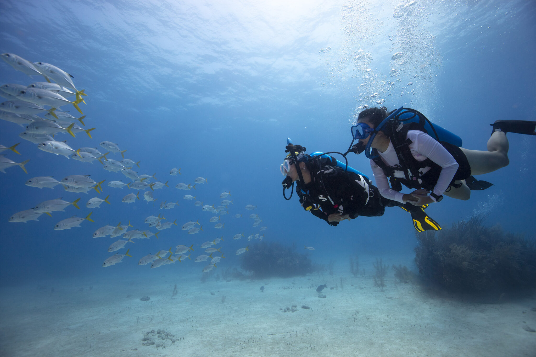 Two divers watch a shoal of fish during a PADI Discover Scuba Diving experience in one of the best diving places in the world