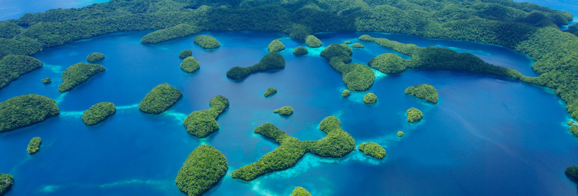 Done a Discover Scuba Diving Experience? Take It to the Next Level on Your Upcoming Vacation