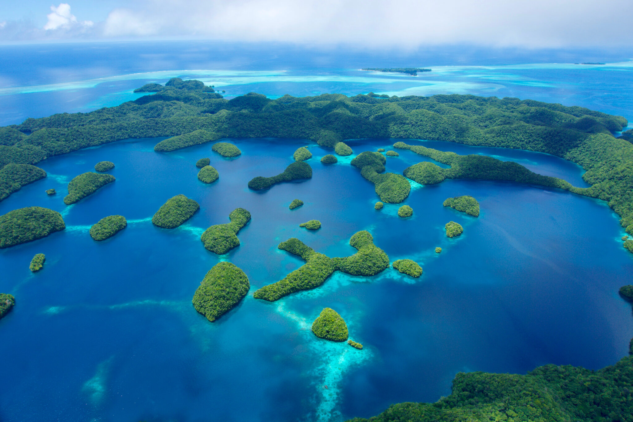 An aerial view of lush green islands tucked among blue bays marine conservation facts