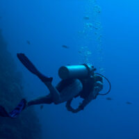 Alina Myers AOW PADI